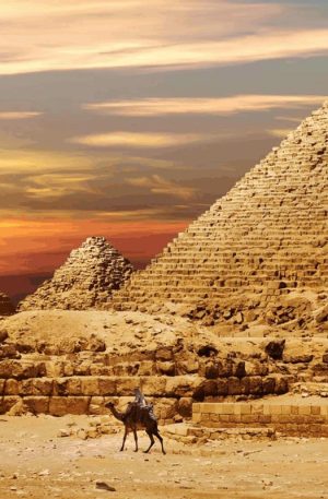 Dioses de egipto